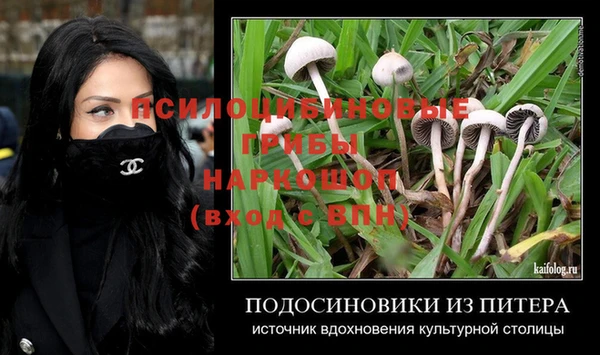 spice Лиски