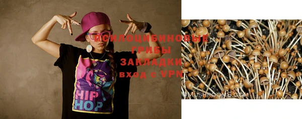 метадон Липки