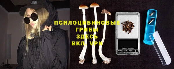 метадон Липки