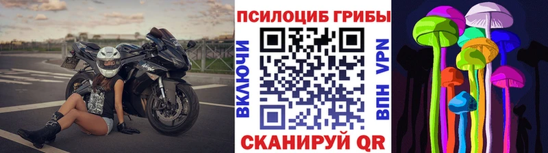 как найти наркотики  Воронеж  Псилоцибиновые грибы мухоморы 