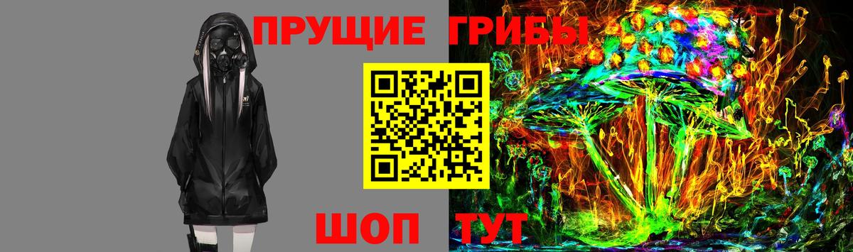 Псилоцибиновые грибы GOLDEN TEACHER  Псилоцибиновые грибы Psilocybe  Воронеж 